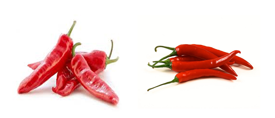 Florina Pepper and spicy pepper